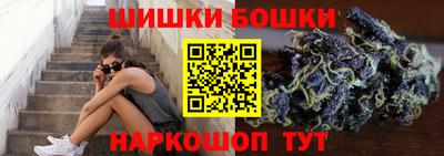 гидра Будённовск