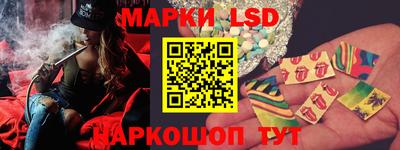 гидра Будённовск