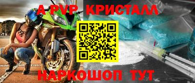гидра Будённовск