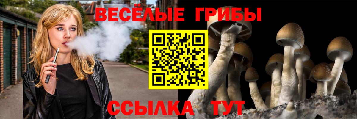 Галлюциногенные грибы ЛСД  Вход с VPN  Рославль  Галлюциногенные грибы прущие грибы 